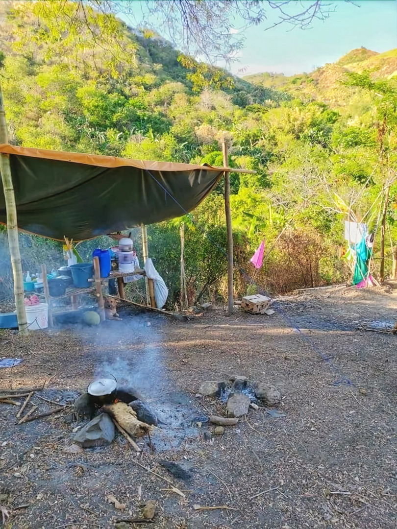 Singalong Nature Camphill Site