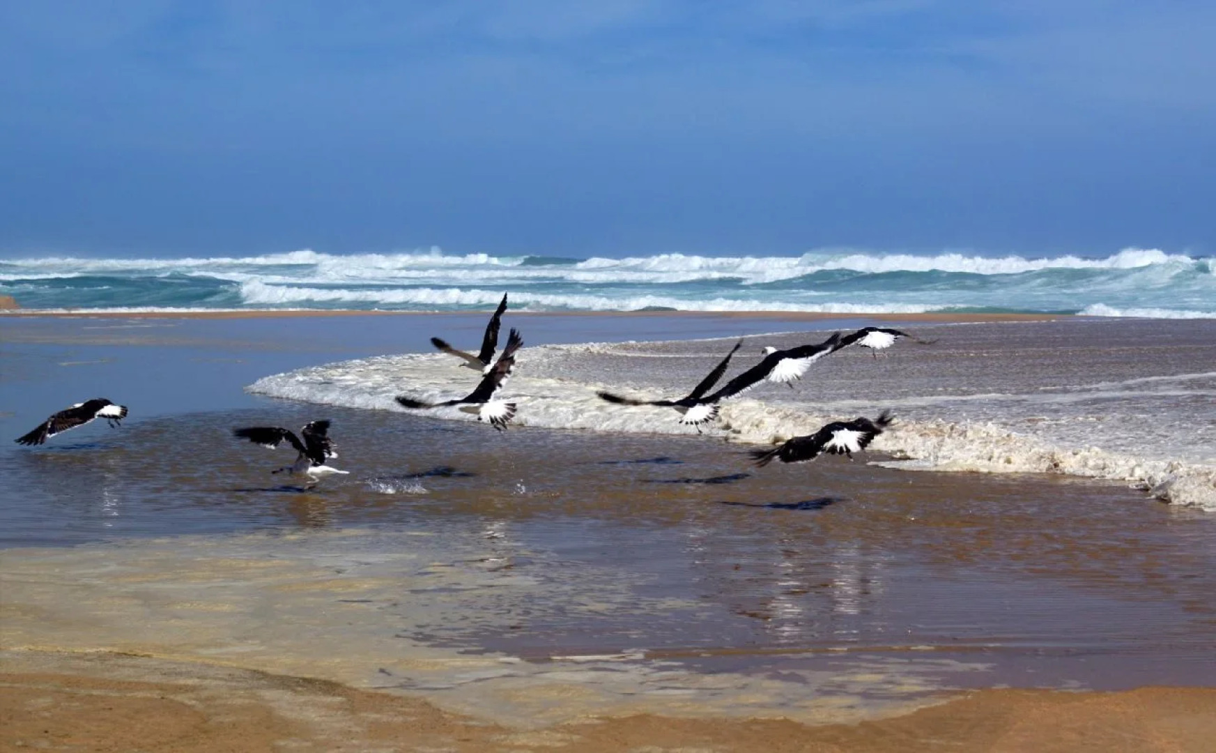 The Pink Lodge on the Beach