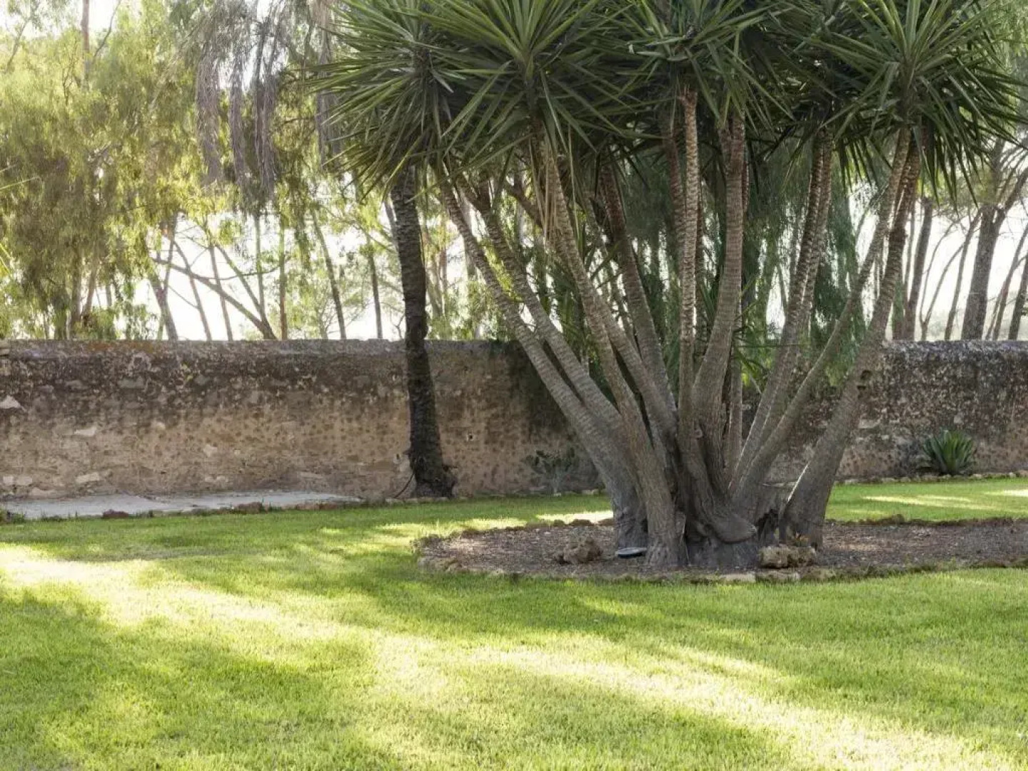 Wine Relais Feudi del Pisciotto