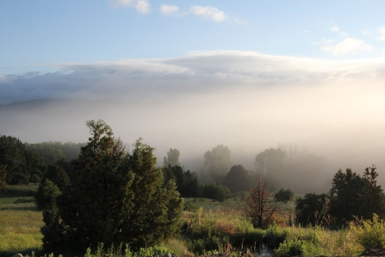 La Luna: Ideal Nature Retreat To Stay Safe From Pandemic - Self Check-In - at the End of a Dirt Road on 8 Acres. Magnificent Mountain Views. Ideal for Social Distancing And Isolation! Long Stays Welcome, Super-Host S