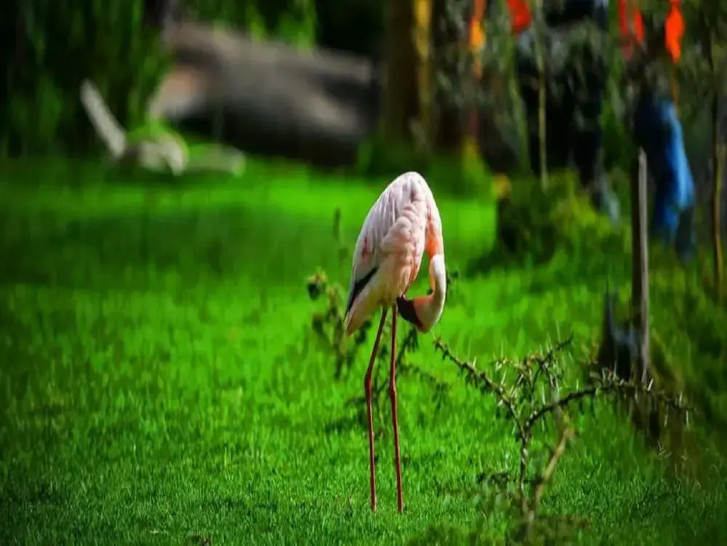 Crater Lake Tented Camp & Game Sanctuary