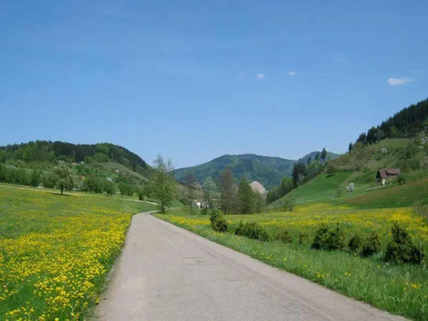 Ferienhaus Niedermättle