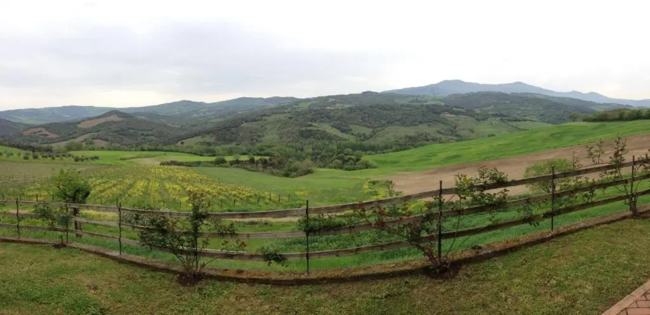 Agriturismo Podere del Vescovo