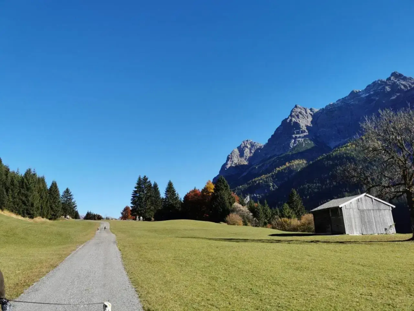 Gasthof Hochvogel