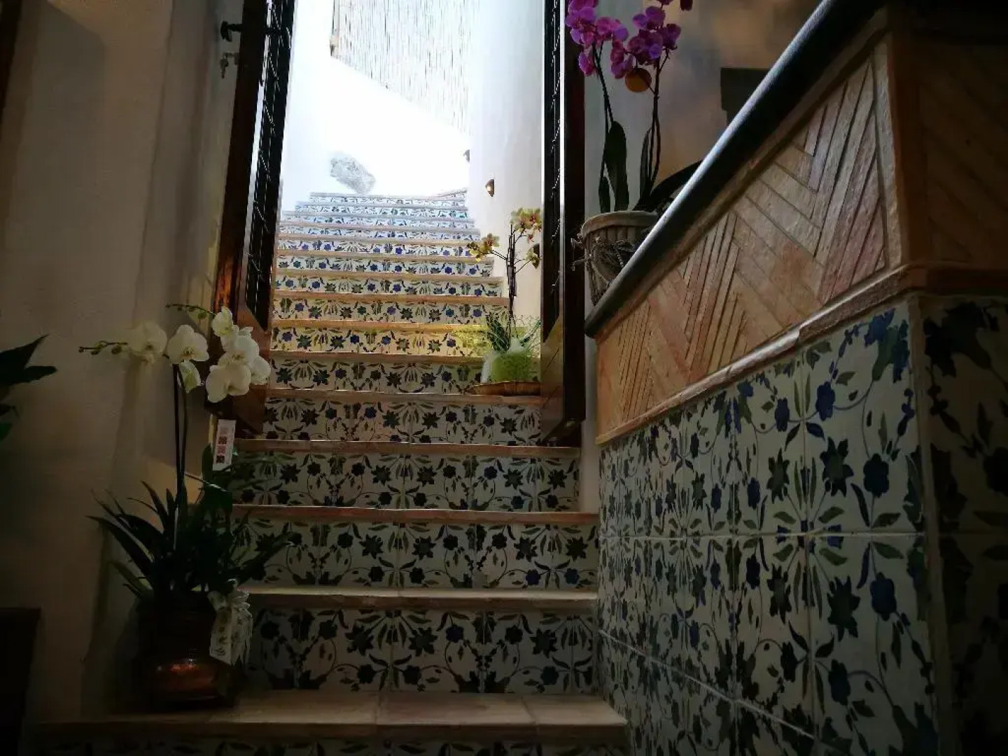 Badia Santa Maria De Olearia