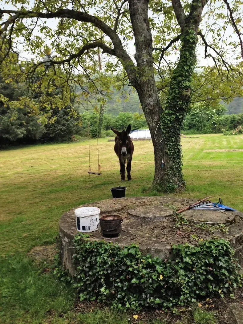 Property With one Bedroom in Lortet, With Pool Access and Terrace - 40