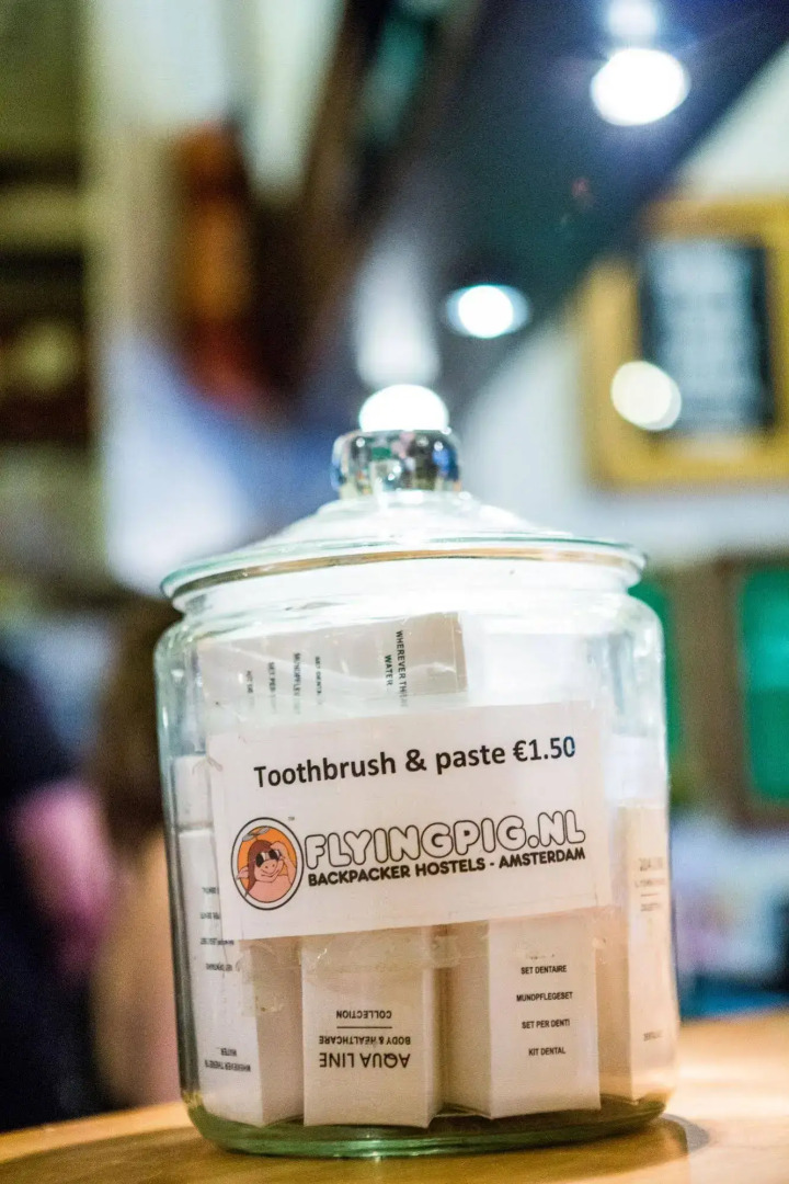 The Flying Pig Downtown Youth Hostel