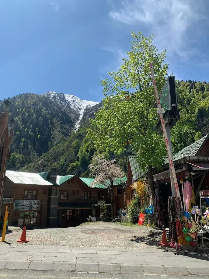 Ayder Yesil Vadi Otel
