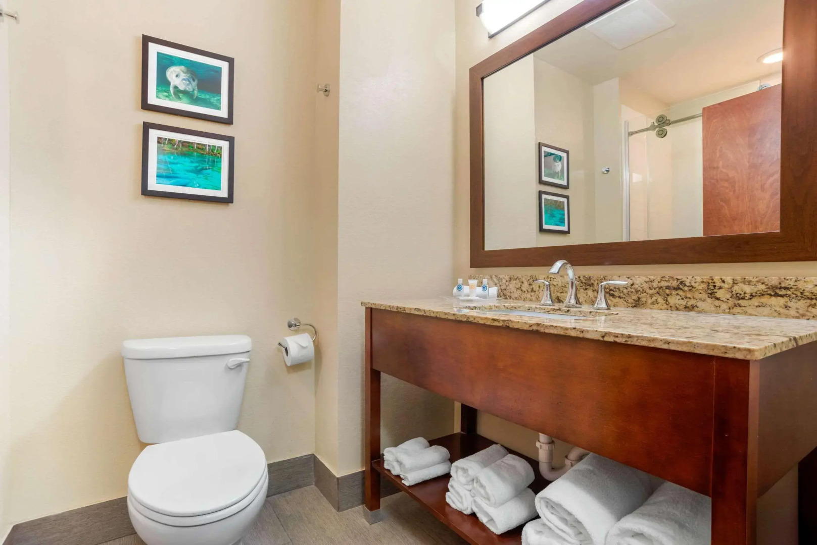 Comfort Suites Tallahassee Capitol - University Area