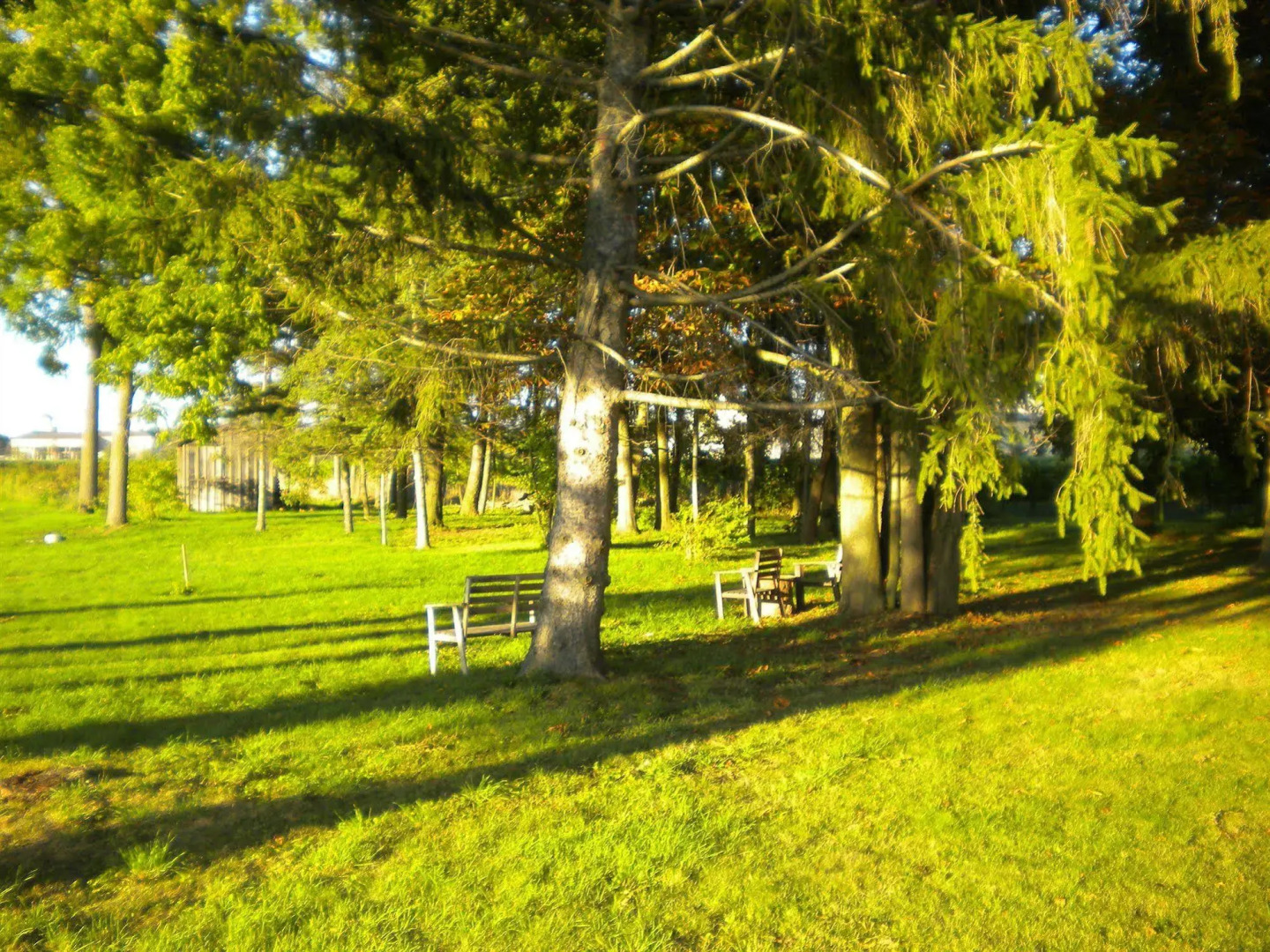 Vineyard Villa Bed & Breakfast