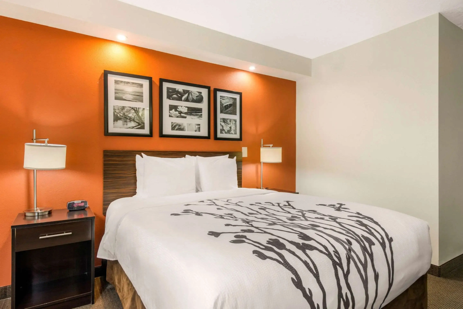 Sleep Inn Clearwater - St Petersburg