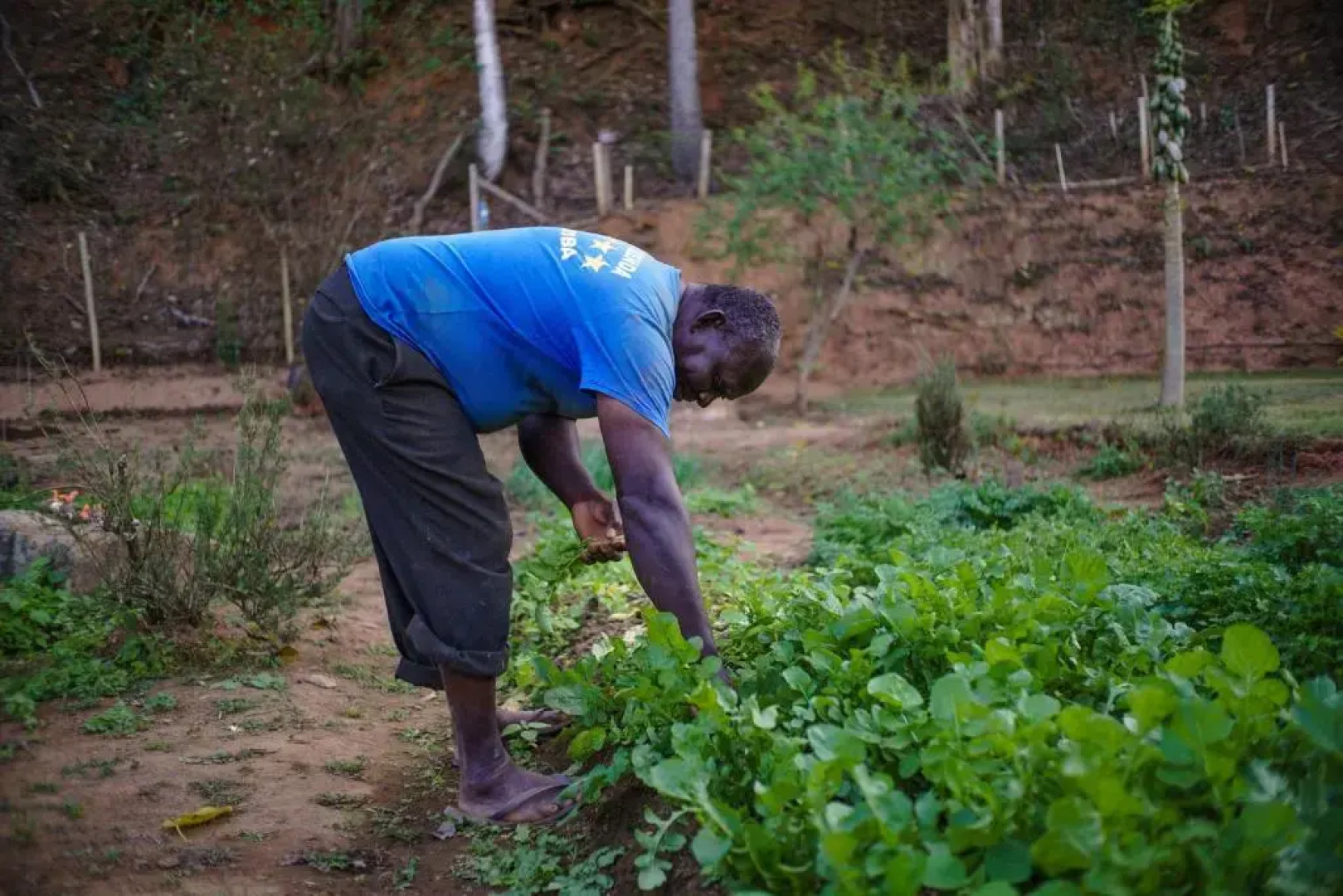 Eco Resort Bela Riba