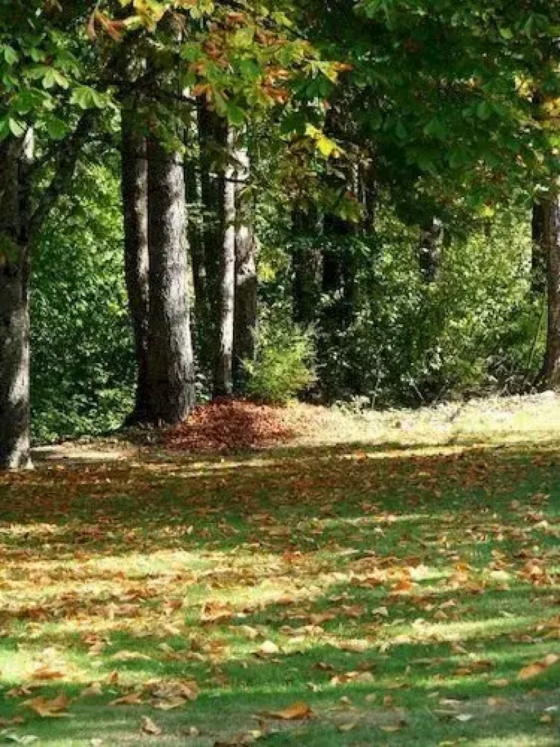Cabins and Campground at Cultus Lake Park