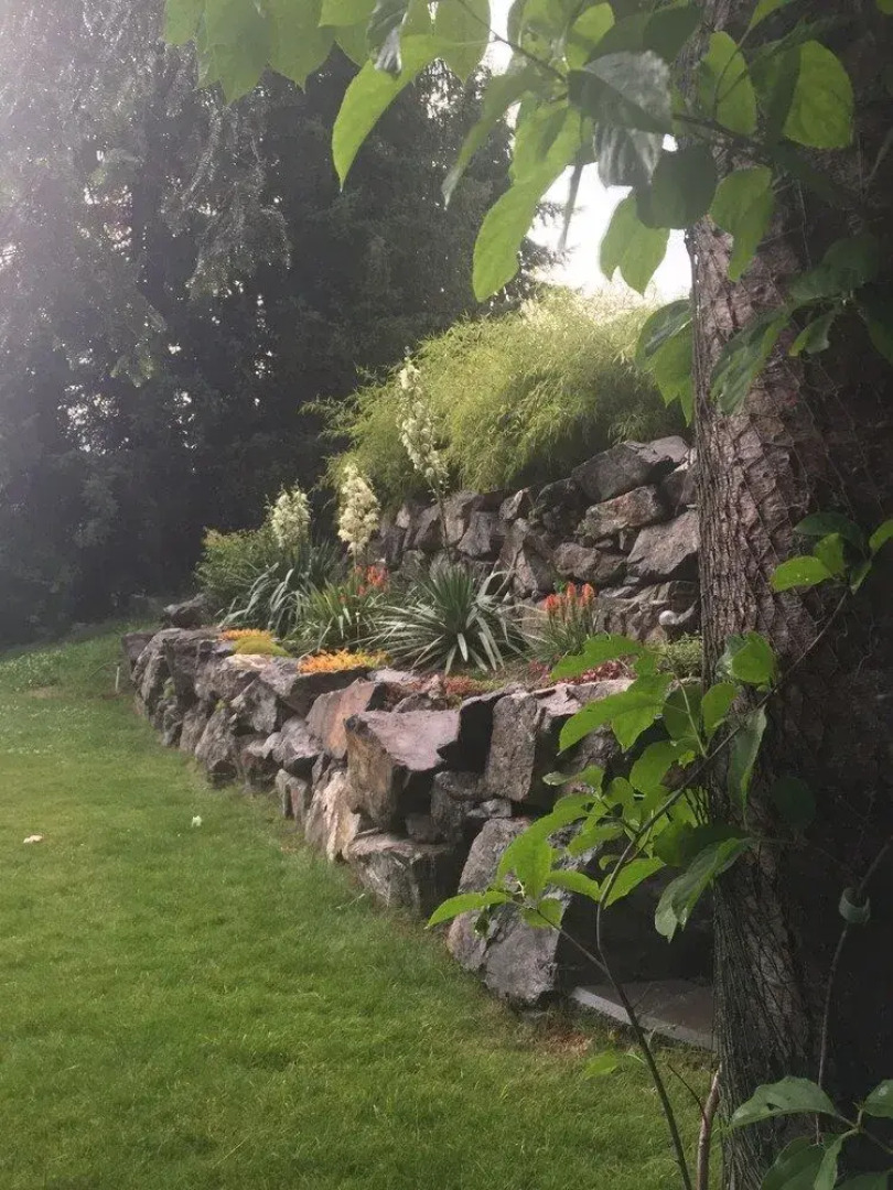 Wolfs Den On The River