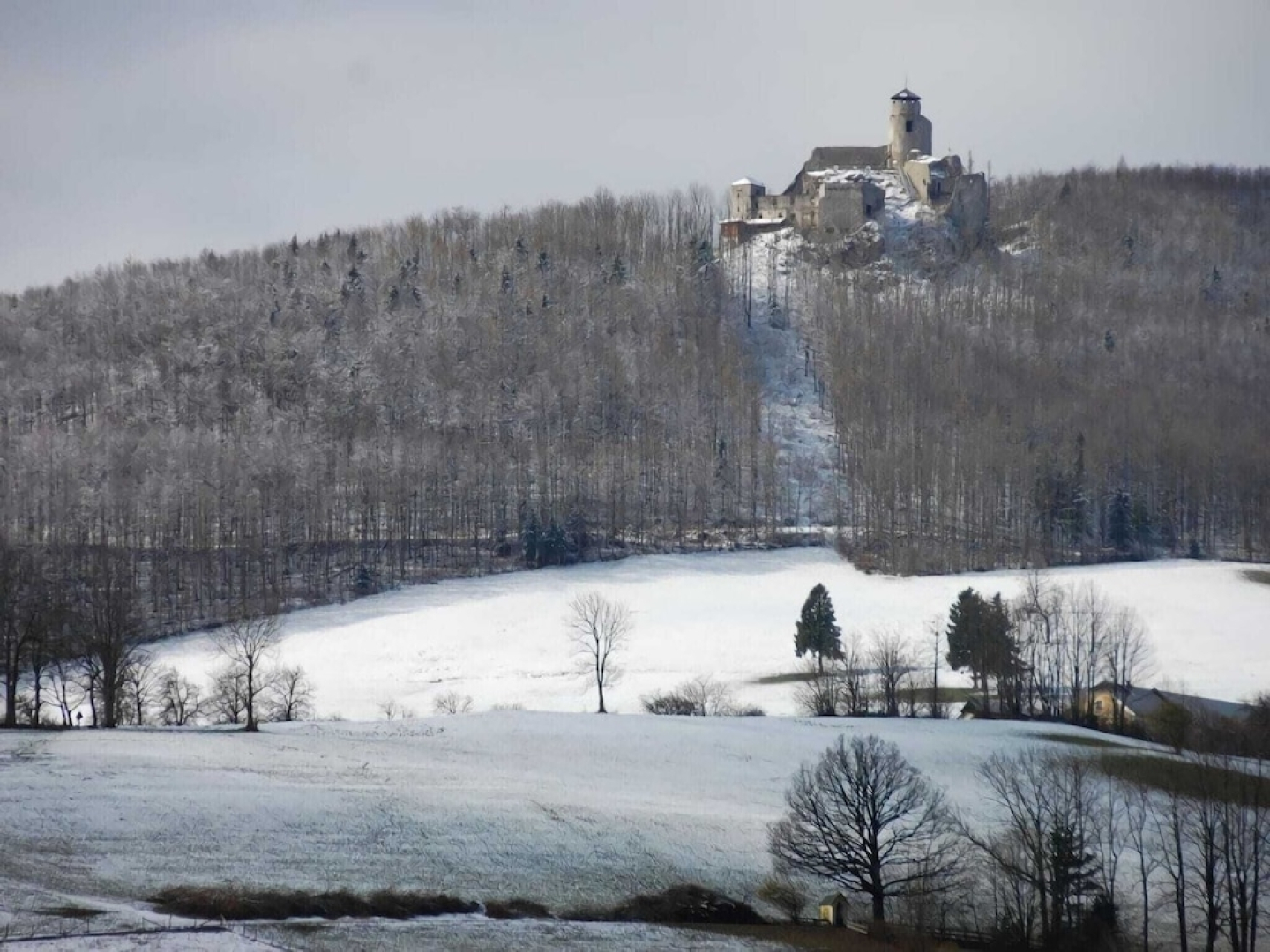 Quiet Chalet in Kaumberg near Vienna with Garden