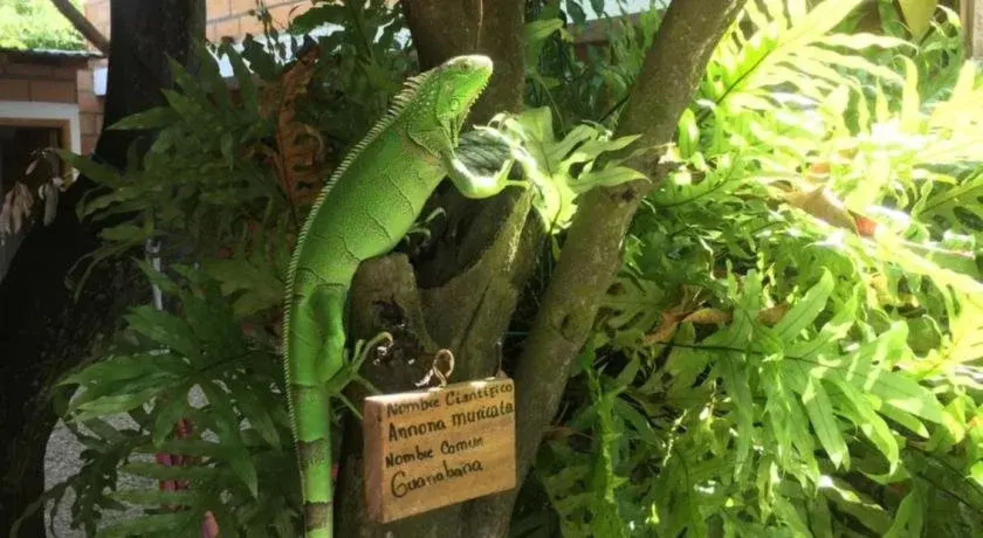 Hotel Pizzeria Opera Tolu