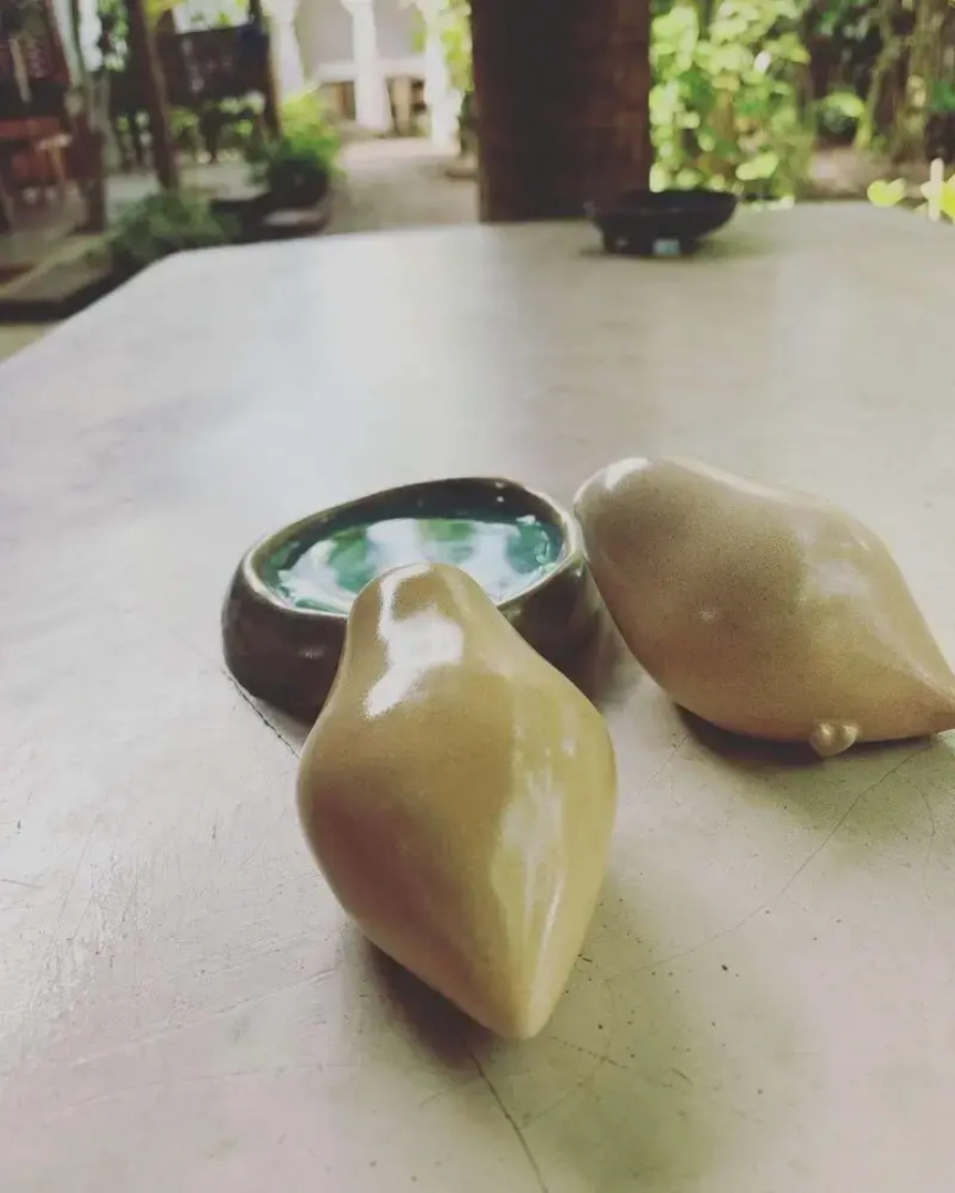 Pousada Spa Oasis