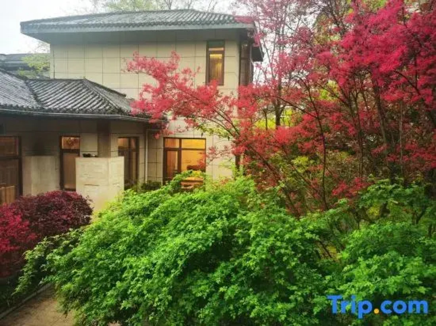 Wentangzhen Jundi Life Boutique Inn