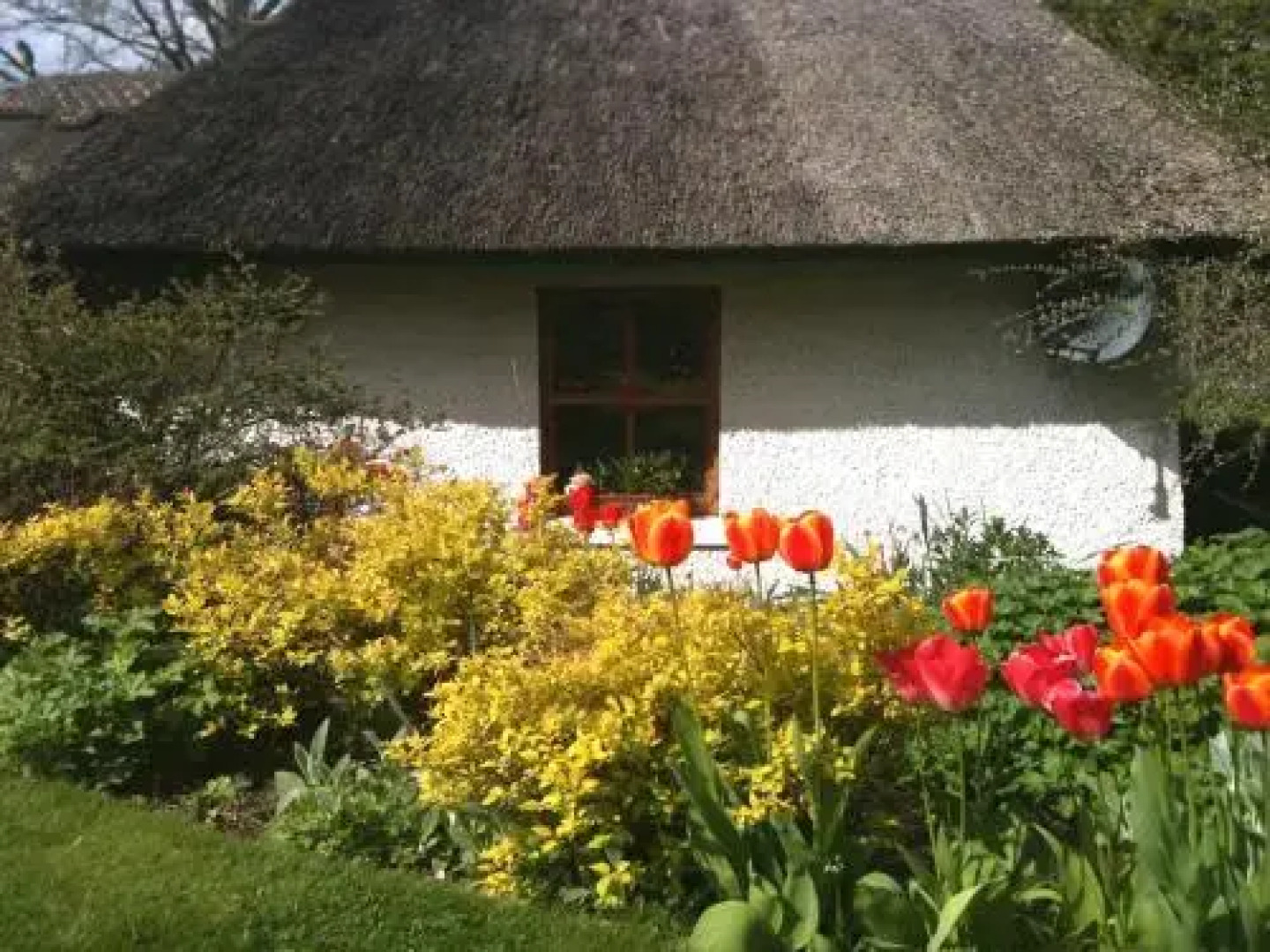 Thatched Cottage