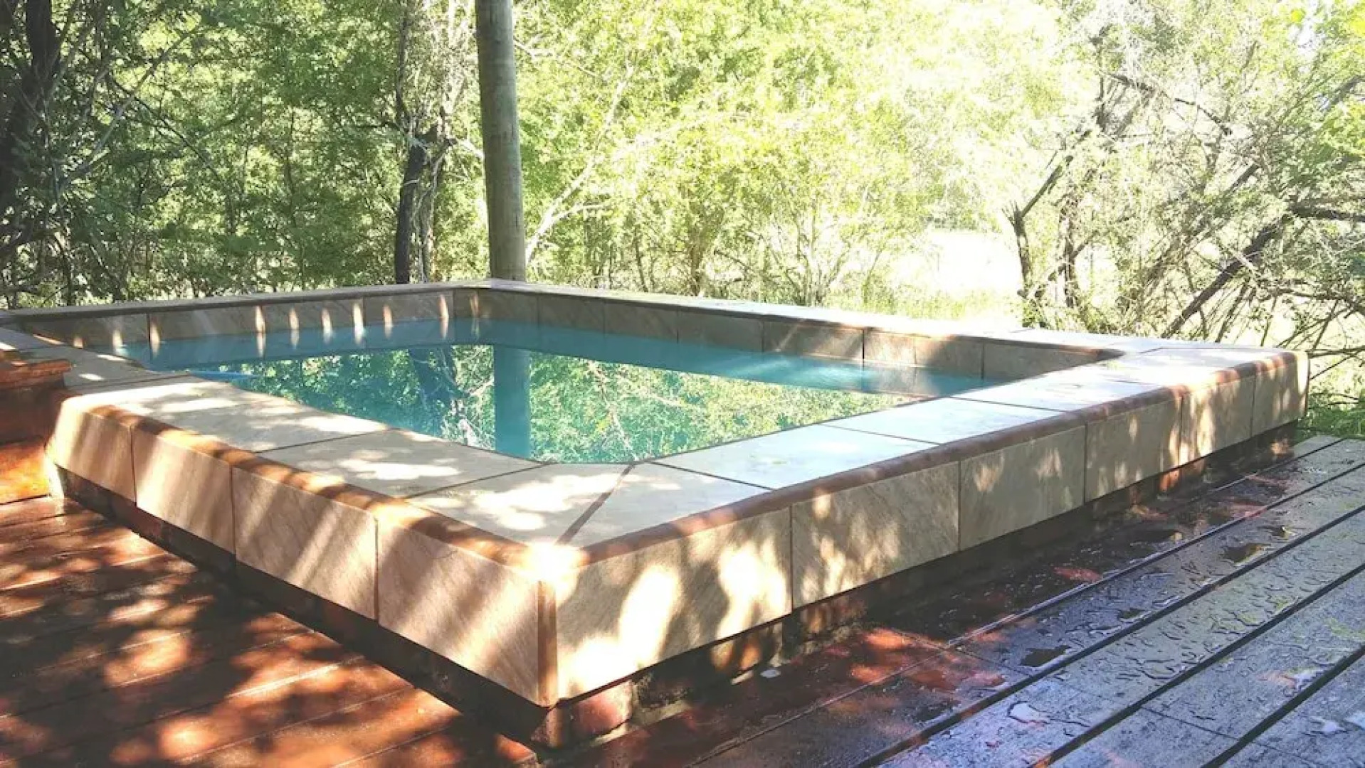 Lion Tree Bush Lodge