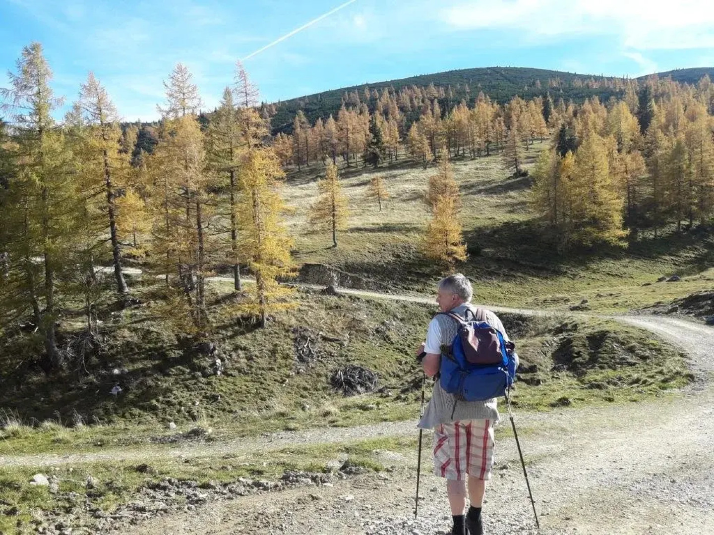 Alpengasthof Schuster