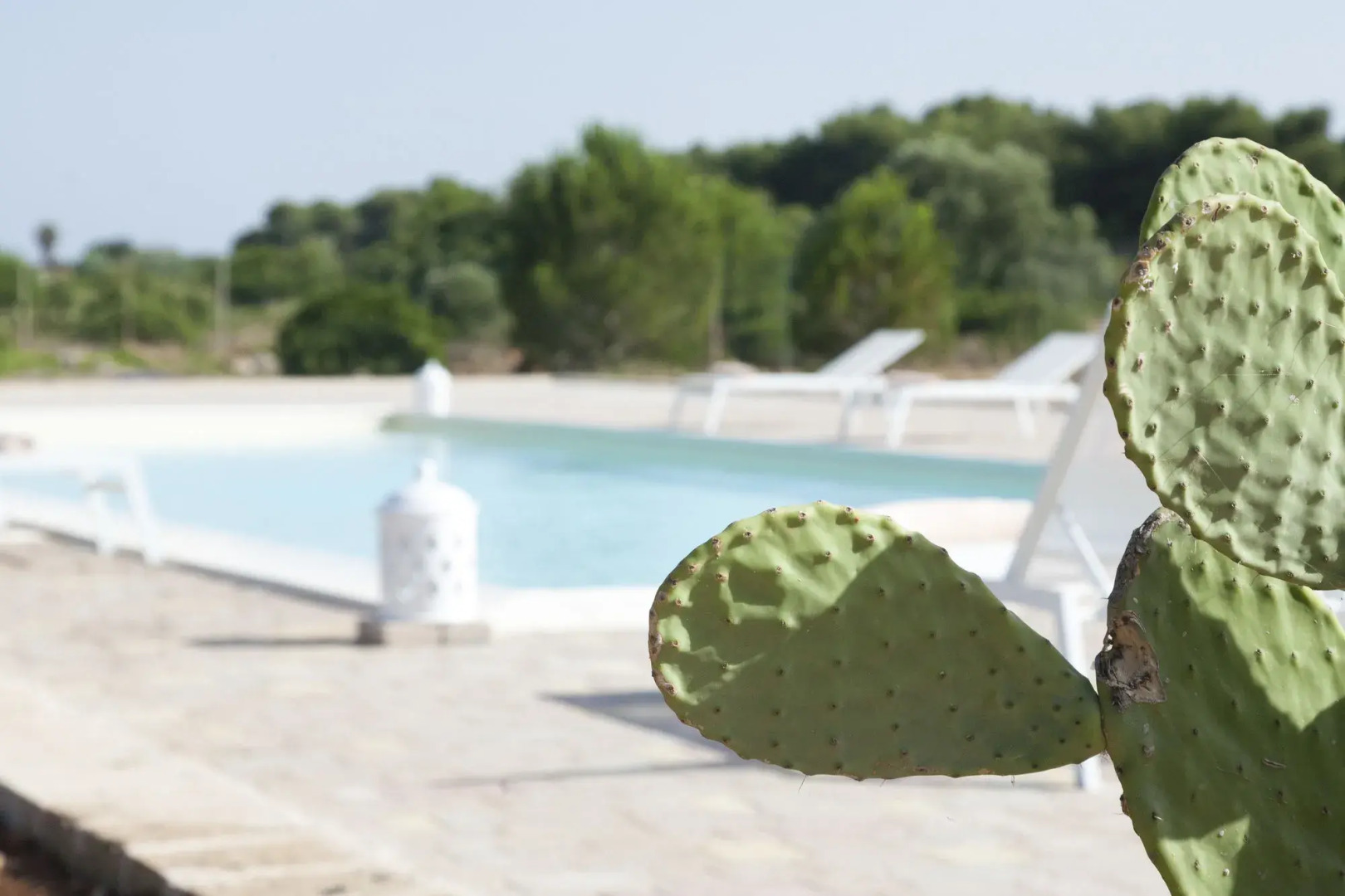 Hotel a Due Passi Dal Pizzo