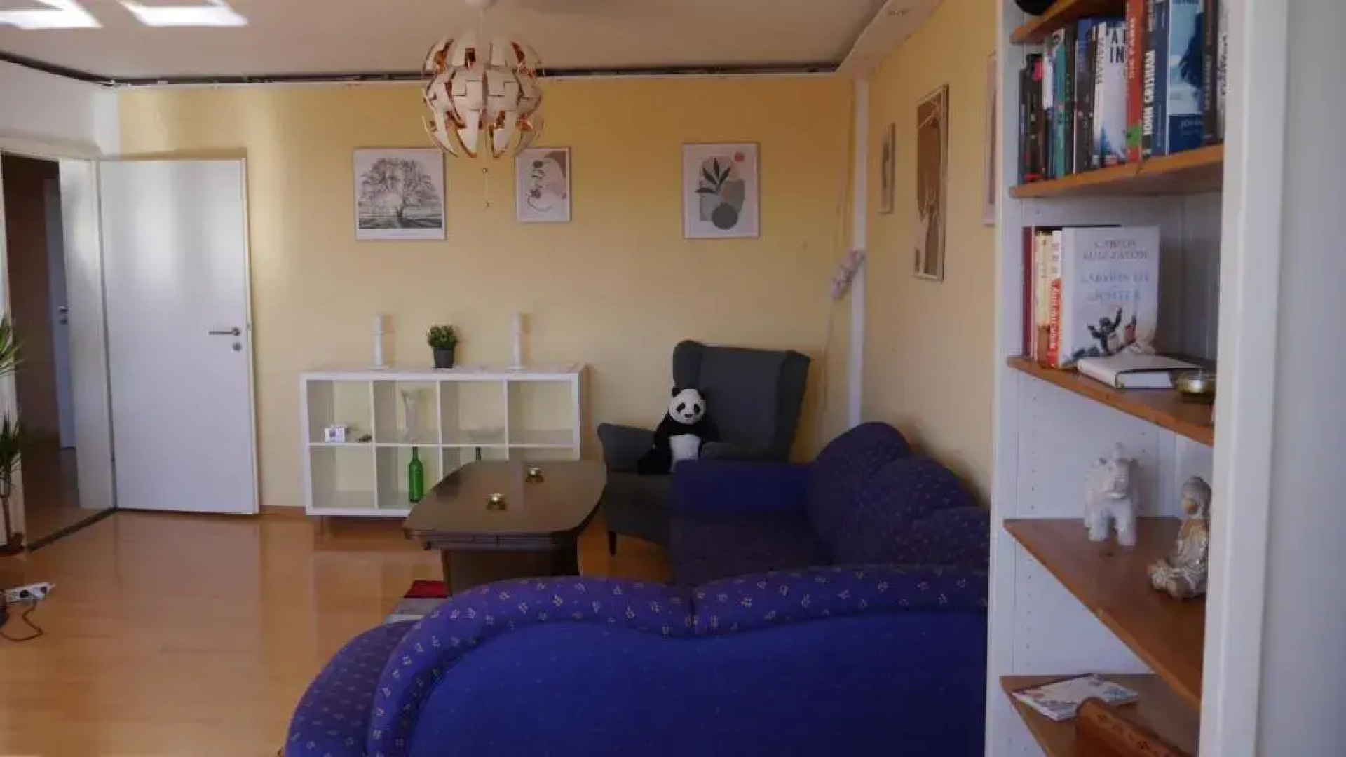 Großzügige Wohnung mit Herkulesblick nähe Uni