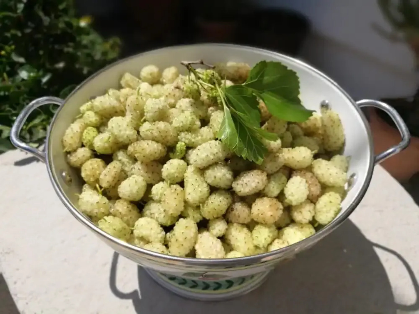 Masseria Borgo del Gallo