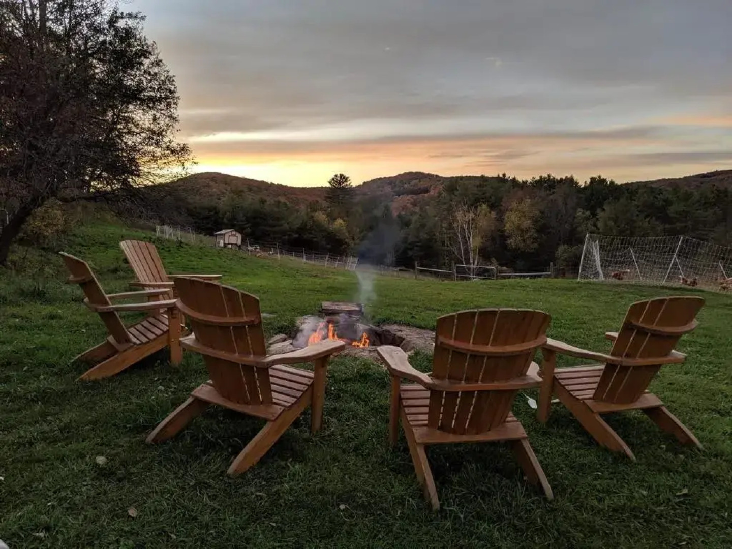 Fat Sheep Farm & Cabins