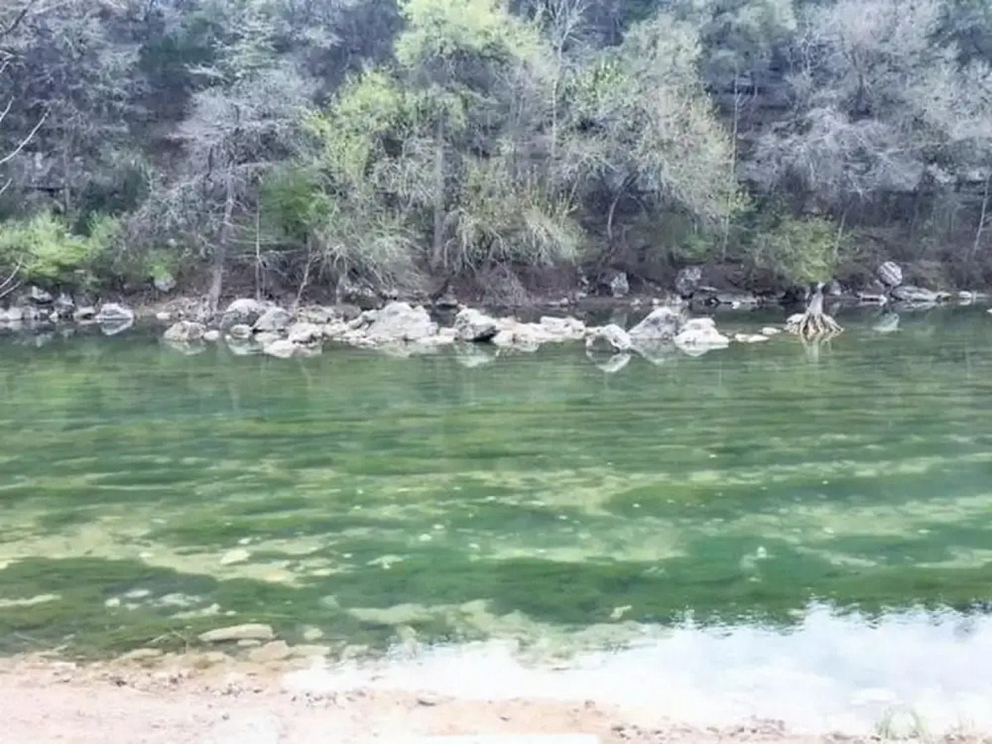 Southern Comfort RR7252 Apartment 4 New