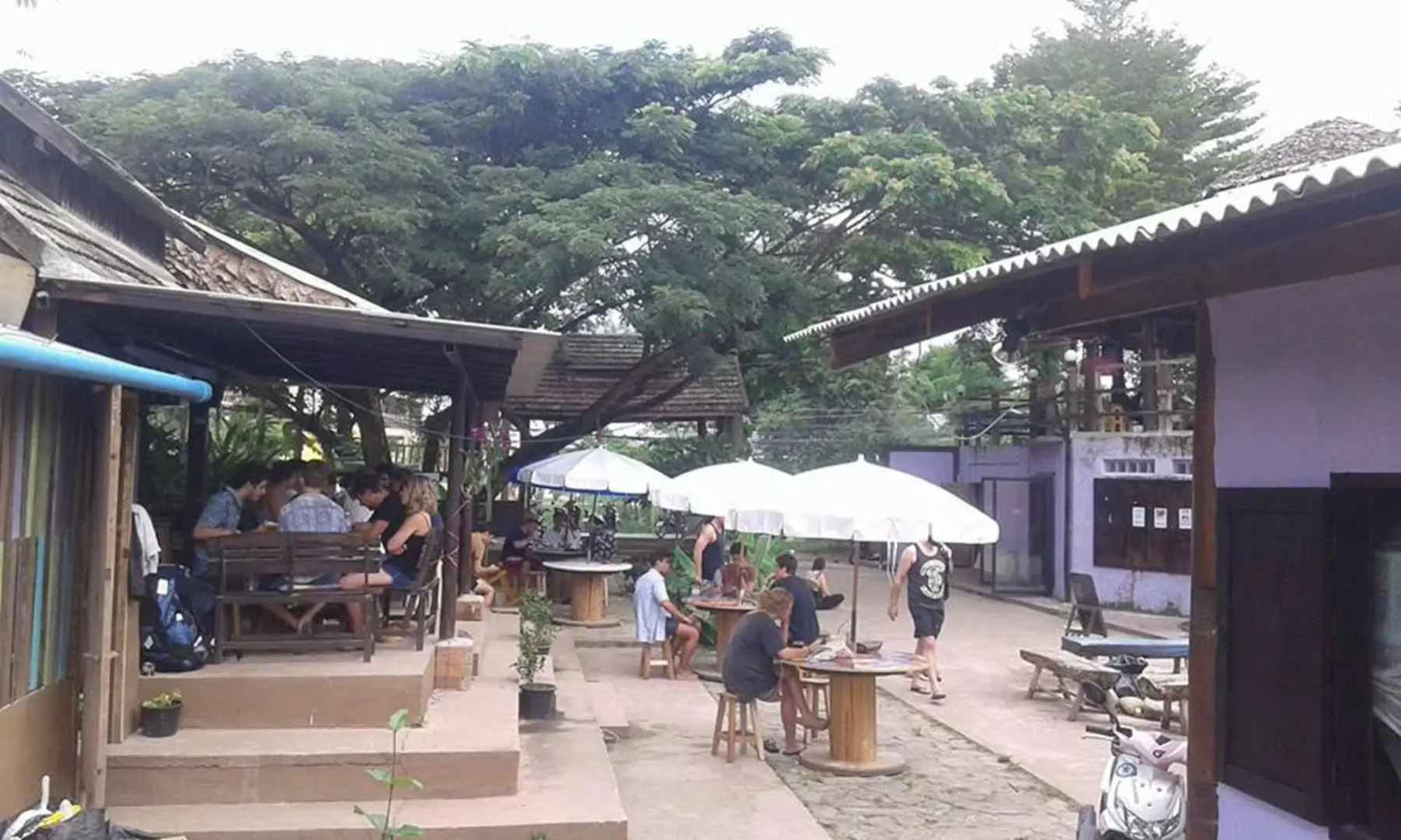 Purple Monkey Backpackers