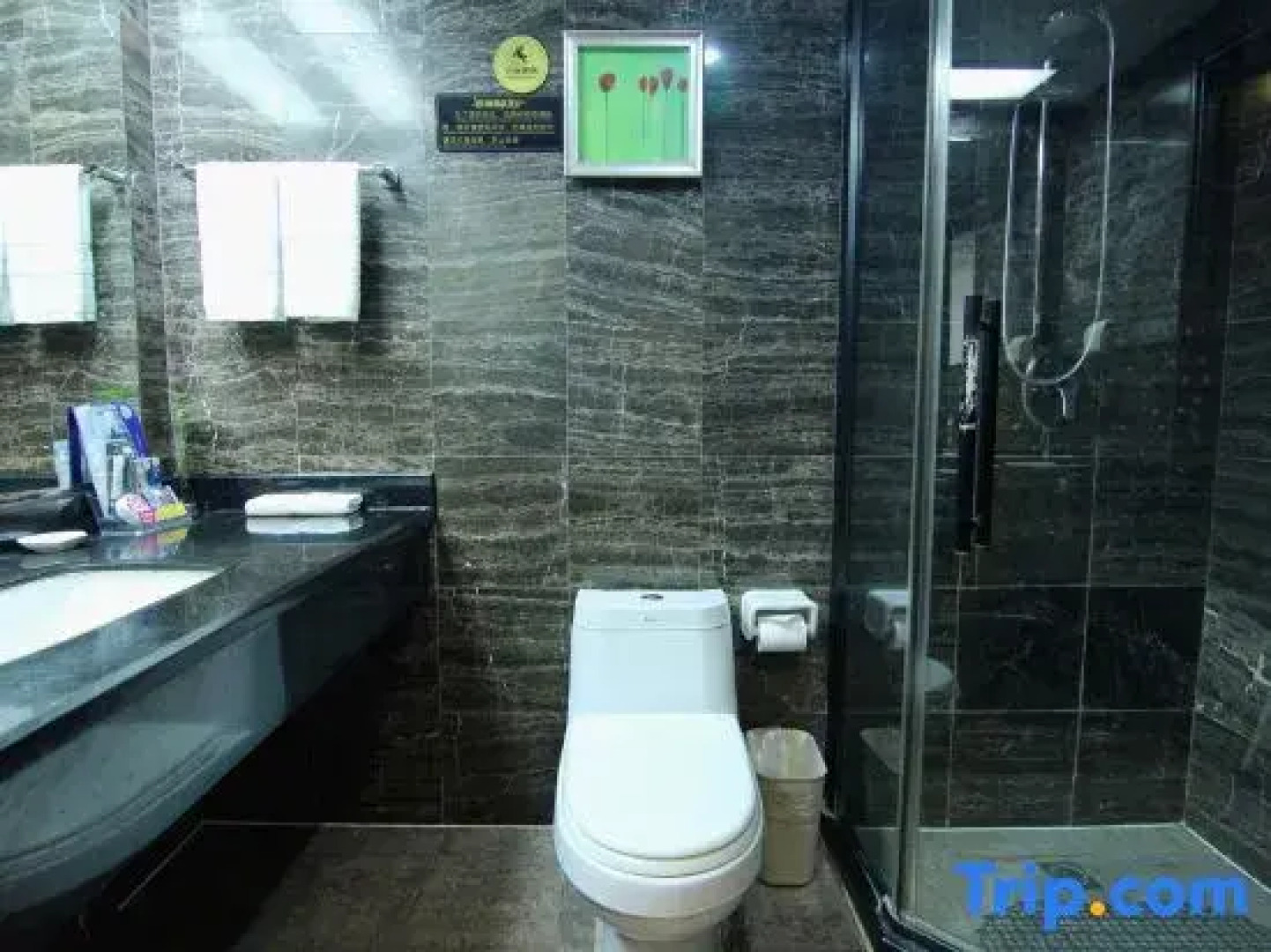 Chongqing Tianyou Hotel