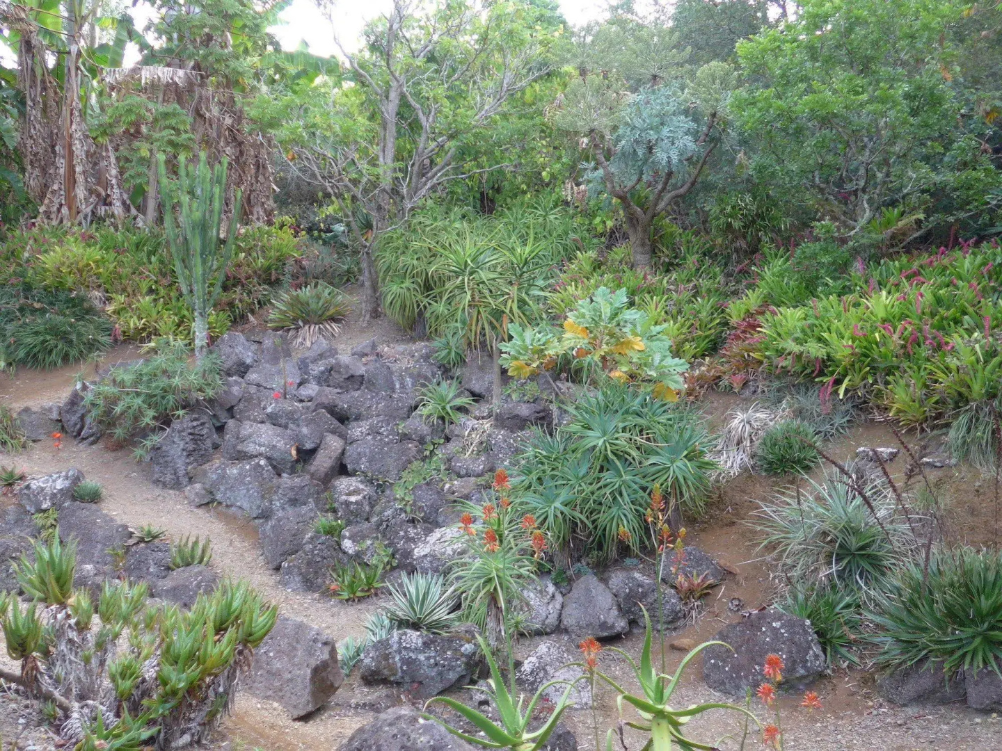 Wharepuke Subtropical Accommodation