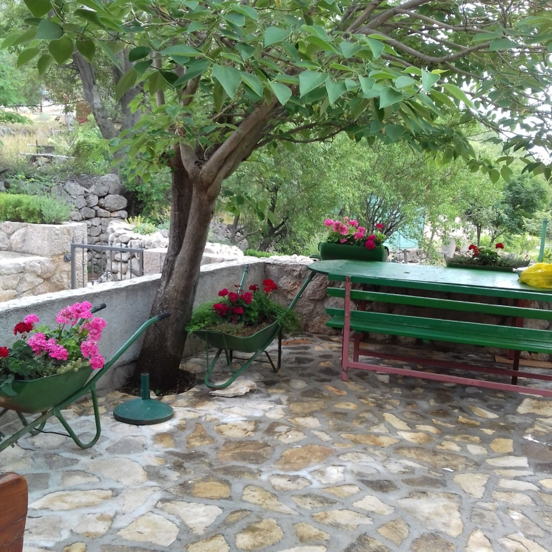Holiday house Role - retro & afordable: Starigrad-Paklenica, Zadar riviera