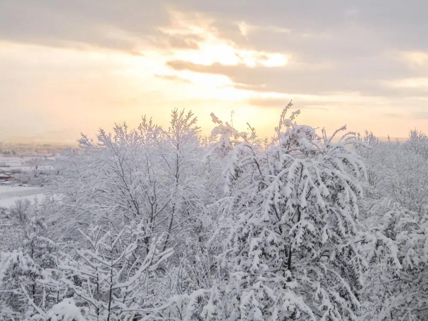 Il Cigliere Your Holiday Home in the Heart of Tuscany