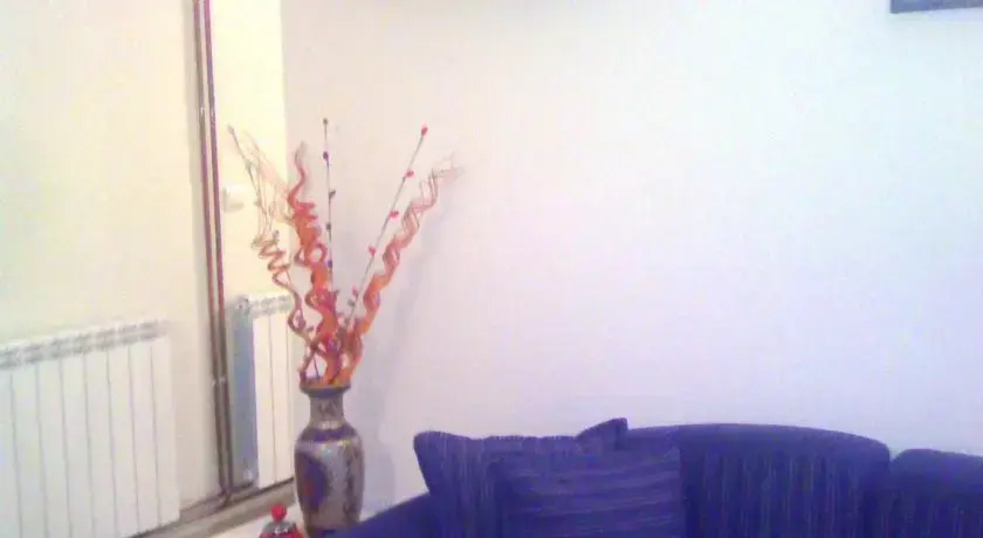 Apartments Radojević