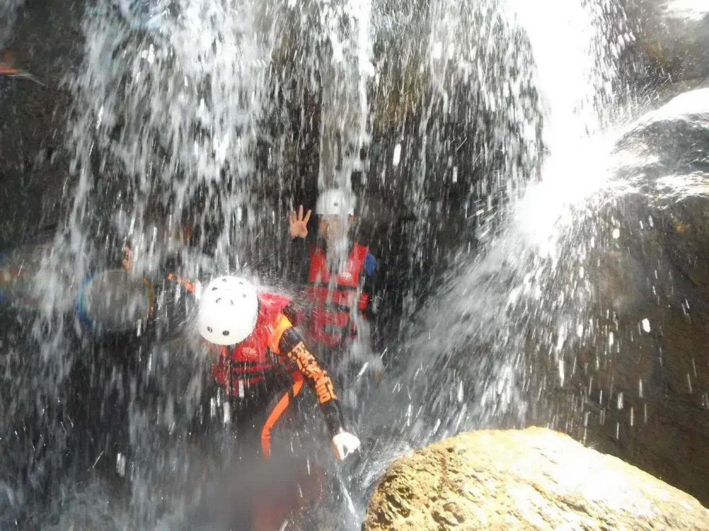 Evergreen Garden Home