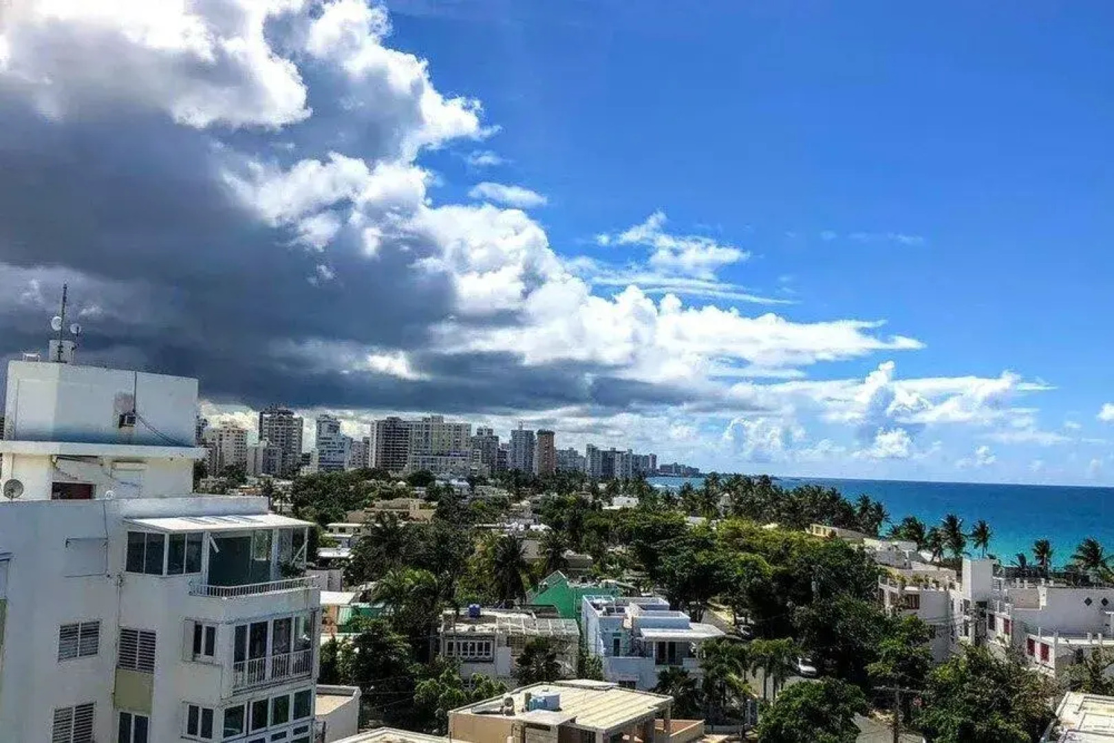 Starfish by the Ocean