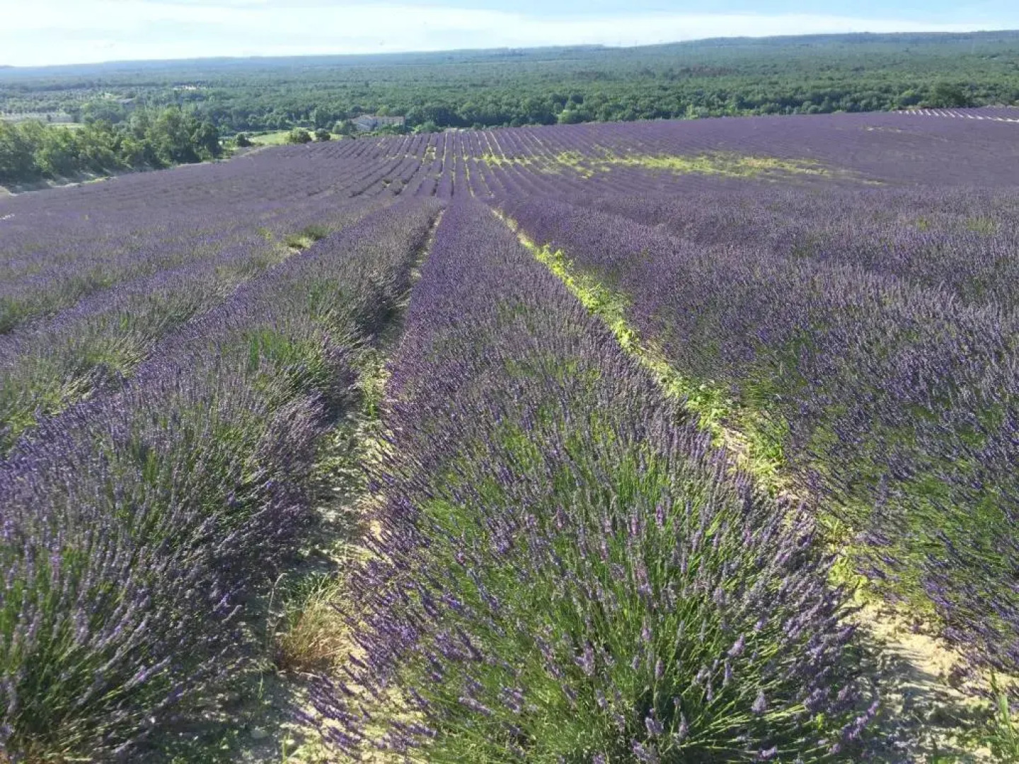 Gites Les oiseaux voyageurs "Le Douny"