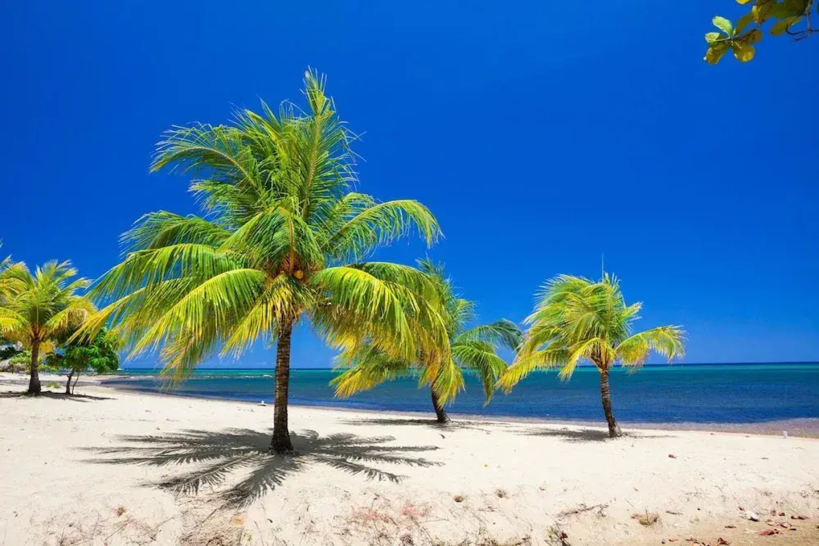 Lawson Rock Yellowfish 109