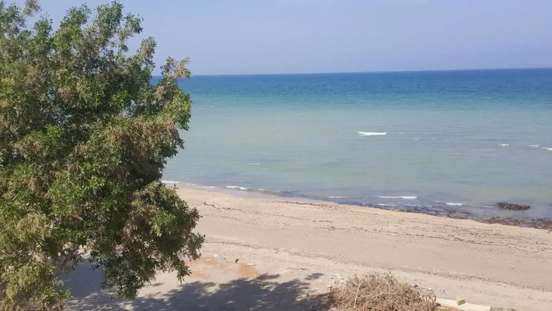 Leading Wings Beach Apartments