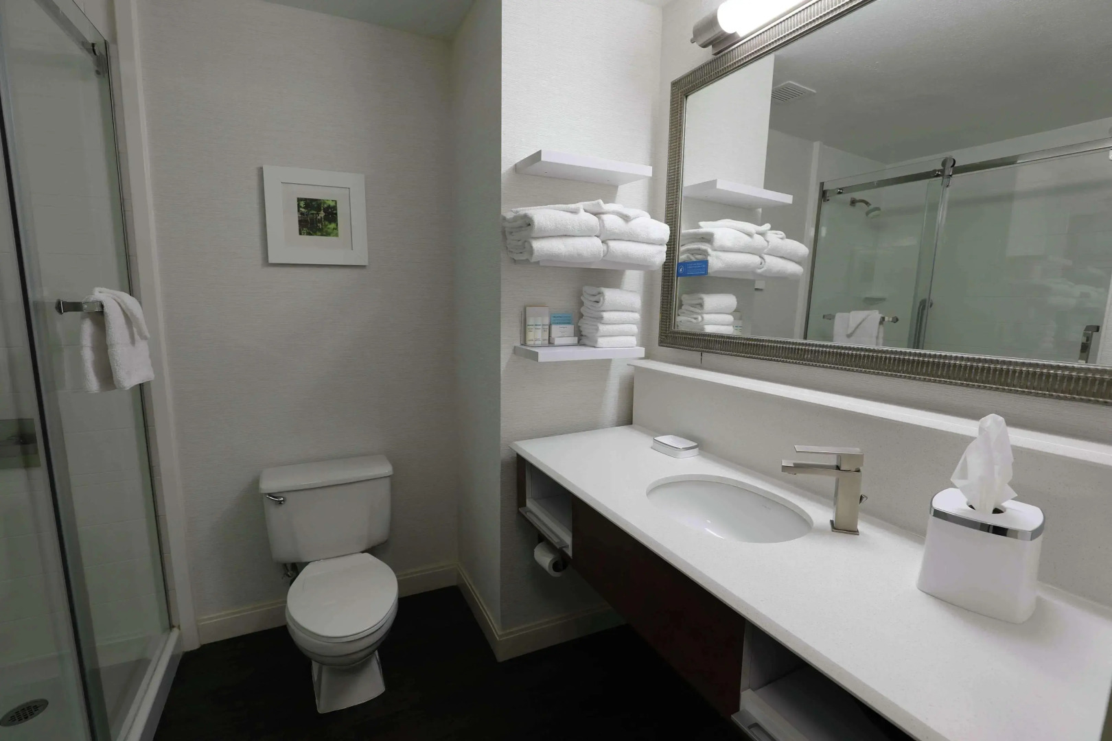 Hampton Inn Dyersburg