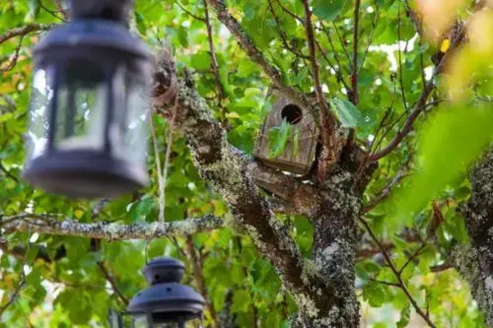 Quinta da Casa Velha Agroturismo