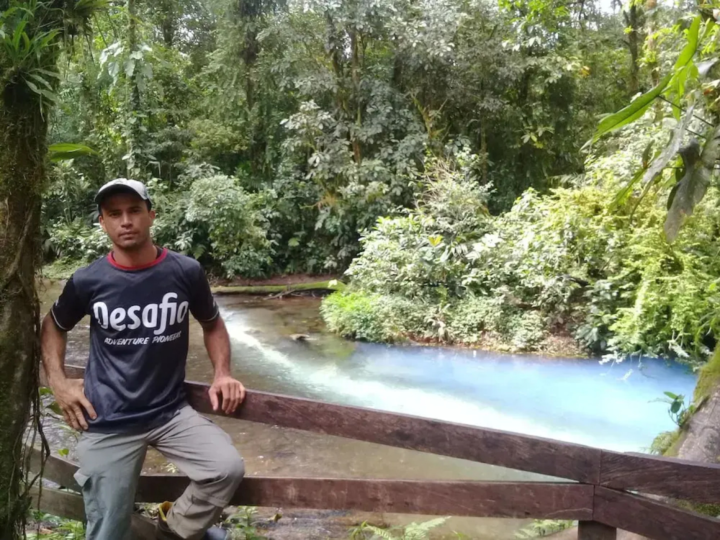 Wonderful View Cabins