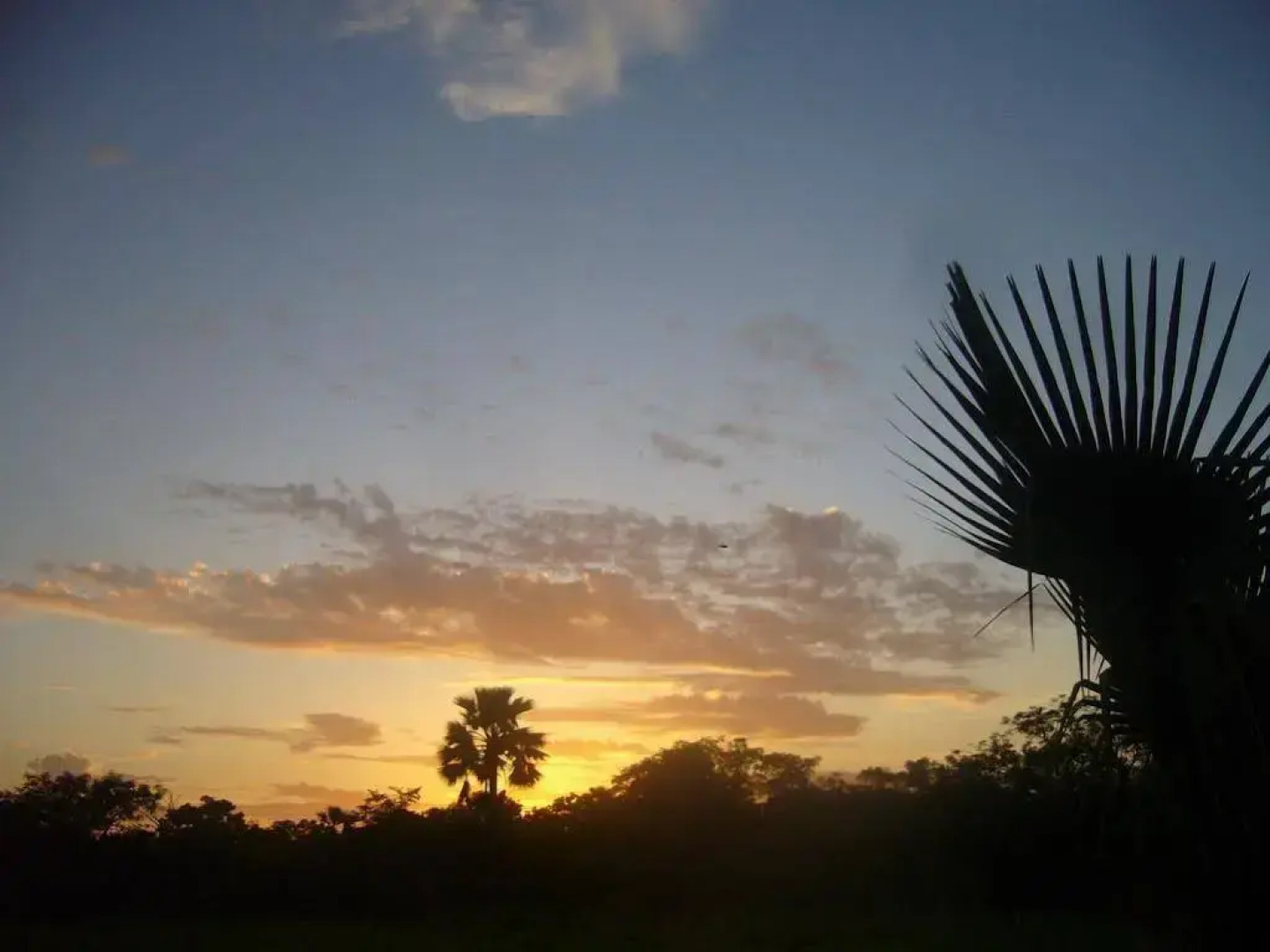 Hotel Les Palétuviers Kaloa