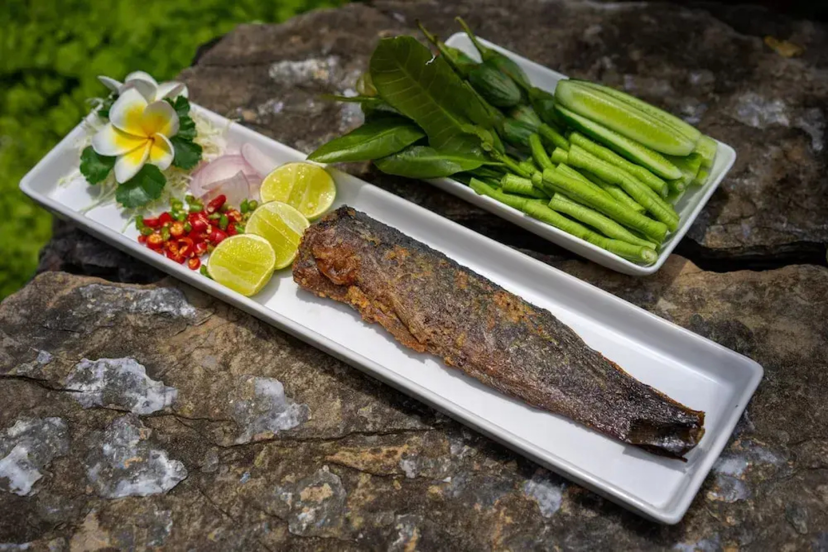 Donsak Orchid Resort