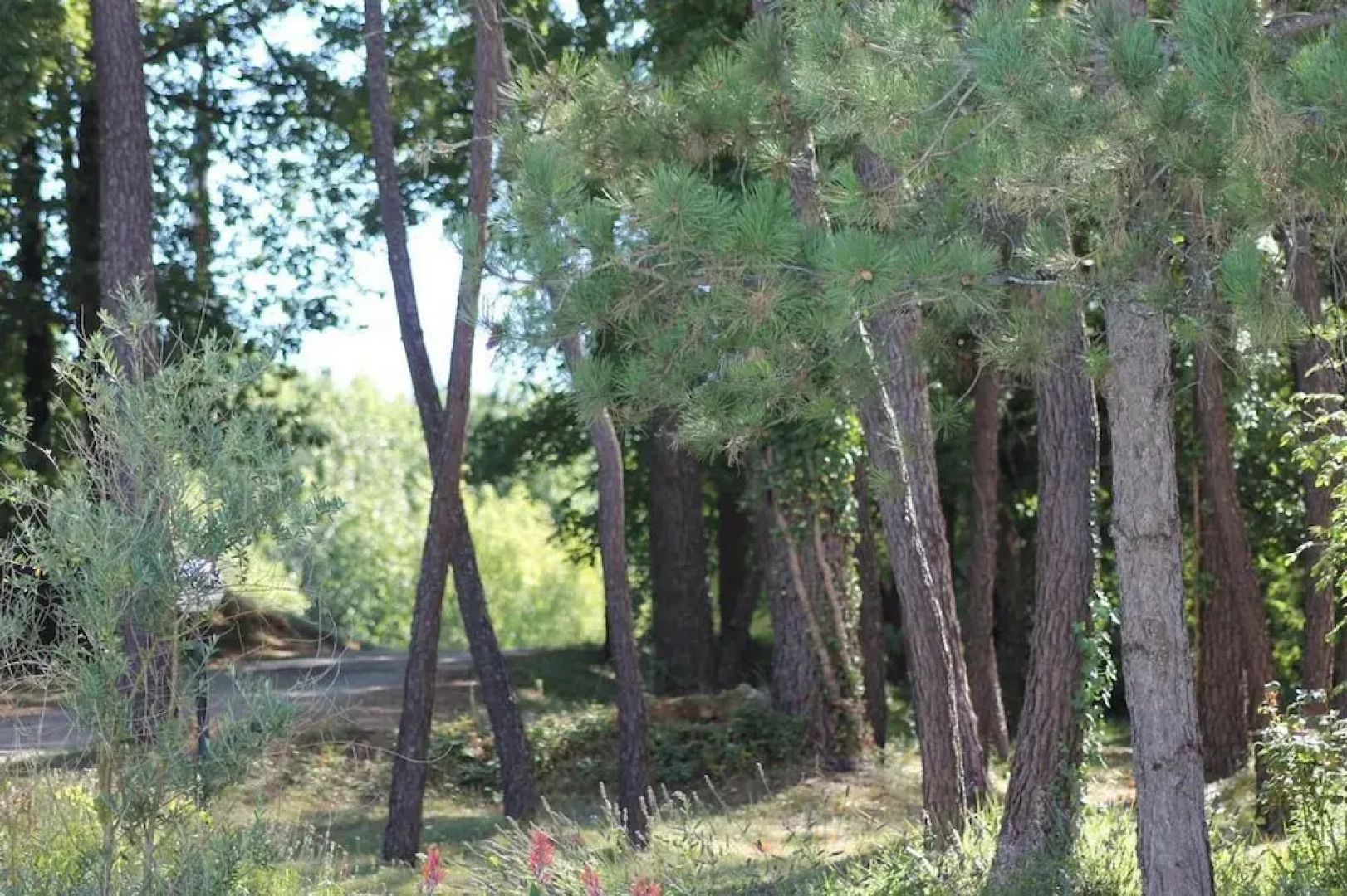 Les Hauts de Lastours