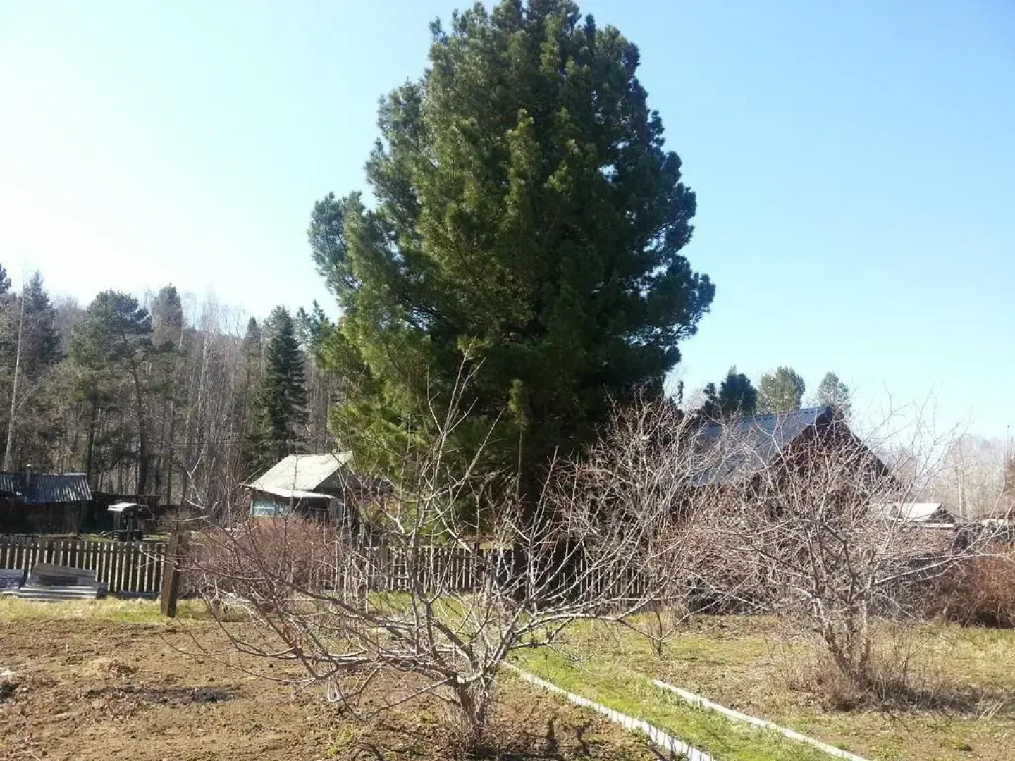 Friday Guest House on Baikal