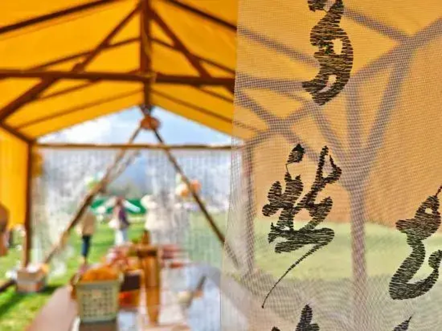 Selenium-themed Inn In West Huangshan City