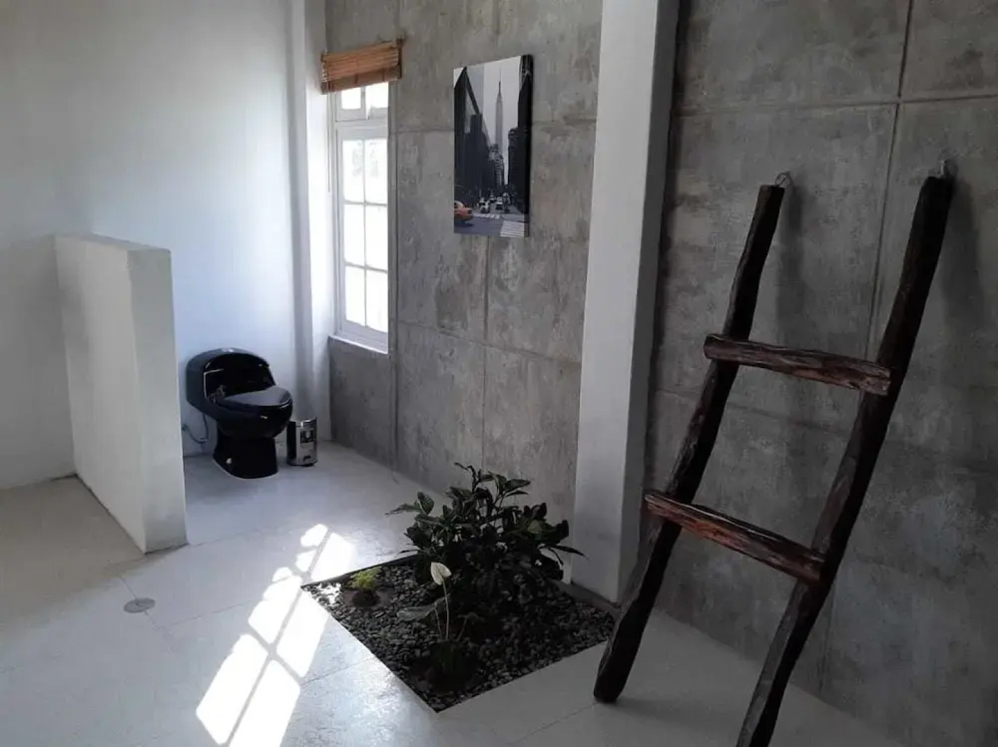 Ica Adventures Hidden Paradise